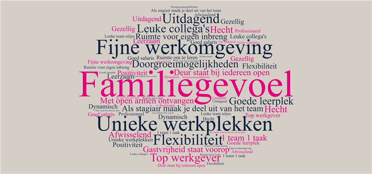 Dit zeggen collega's over ons - Mobile